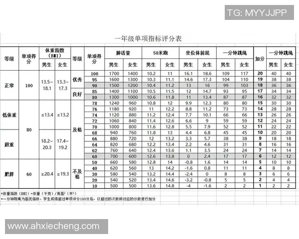 以體能測試為核心探討運動員體能評估方法與訓練成效提升策略 以體能測試為核心探討運動員體能評估方法與訓練成效提升策略